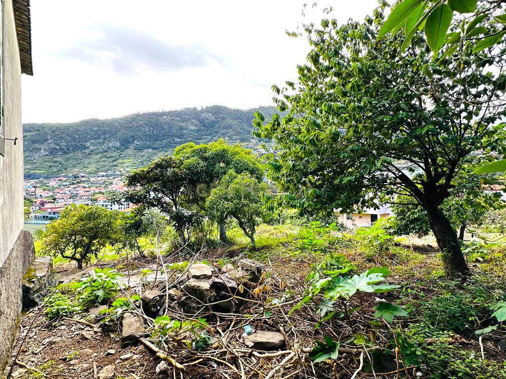 Terreno com moradia para recuperar no Poço Gil - Machico - Image 13