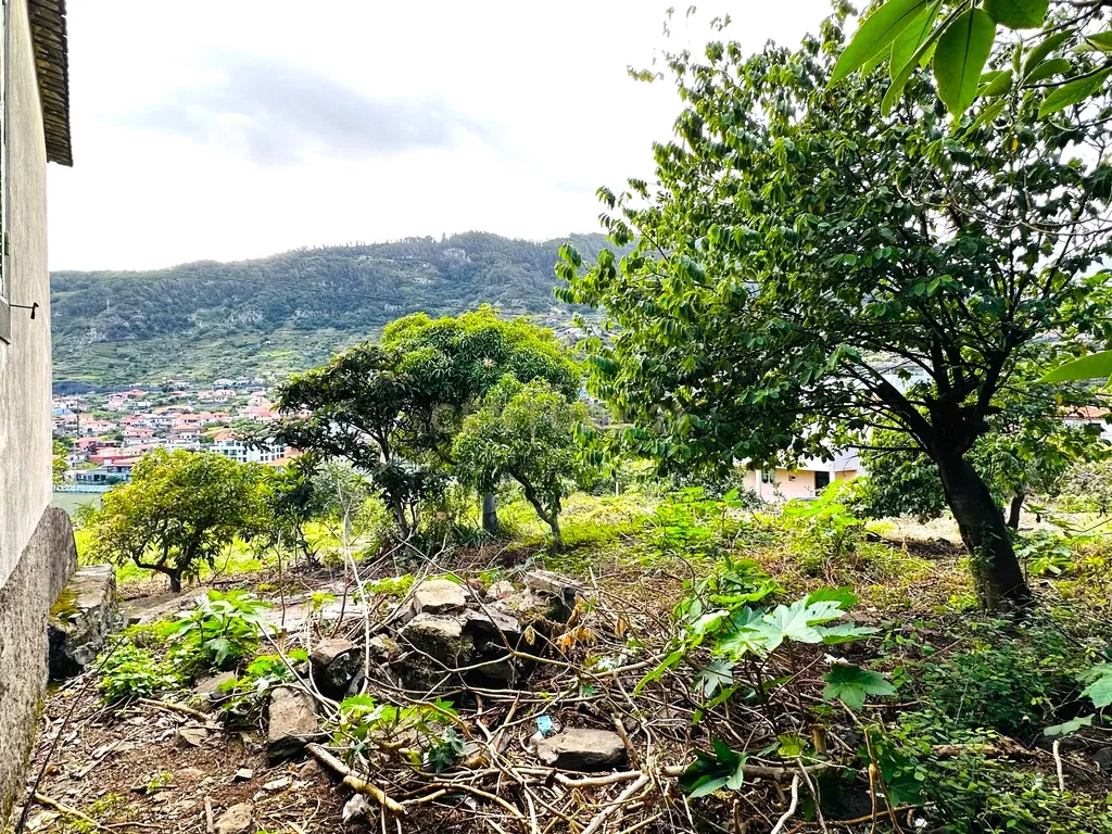 Terreno com moradia para recuperar no Poço Gil - Machico - Image 13