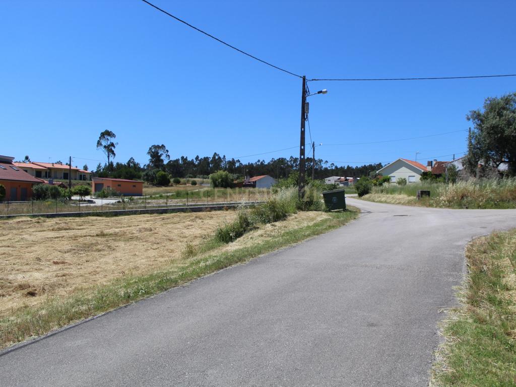 Terreno Almagreira - Pombal - Image 5