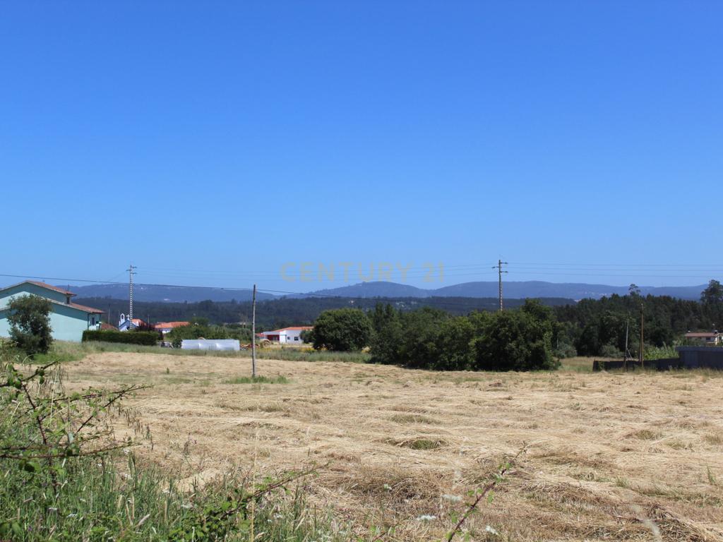 Terreno Almagreira - Pombal - Image 3