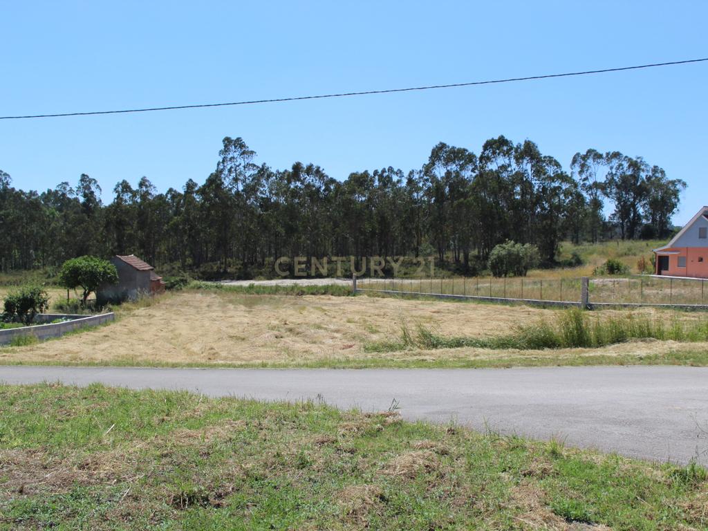 Terreno Almagreira - Pombal - Image 1