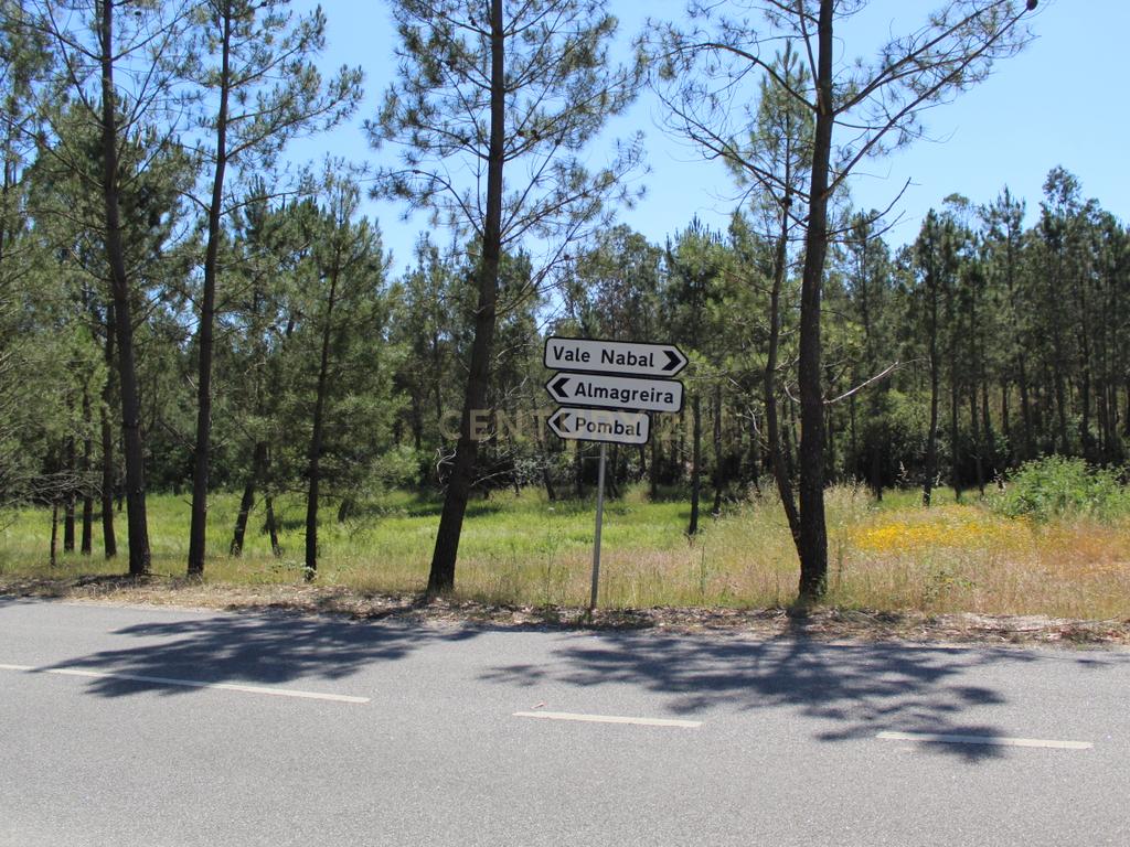 Terreno Almagreira - Pombal - Image 9