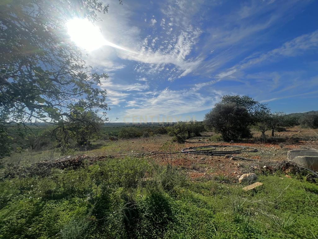 Oportunidade Única na Aldeia da Alfarrobeira – Prédio Misto com Ruína e Terreno Amplo - Image 10