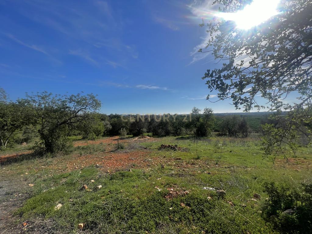 Oportunidade Única na Aldeia da Alfarrobeira – Prédio Misto com Ruína e Terreno Amplo - Image 5