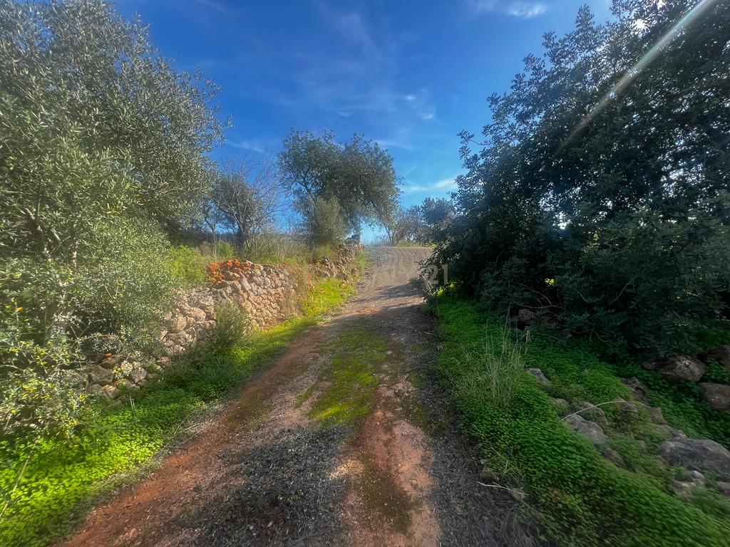Oportunidade Única na Aldeia da Alfarrobeira – Prédio Misto com Ruína e Terreno Amplo - Image 8