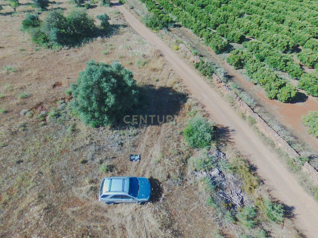 Terreno rustico para cultura de sequeiro - Image 1