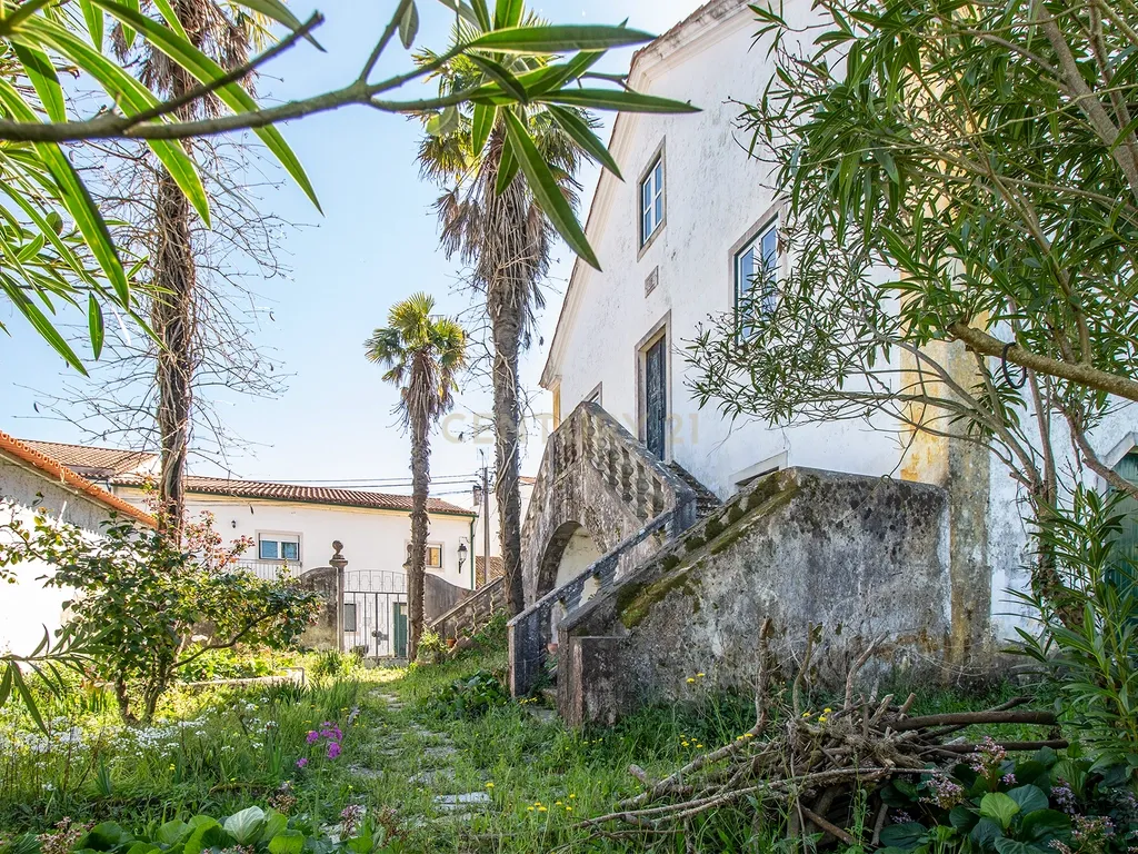 Quinta com Palacete - Image 45