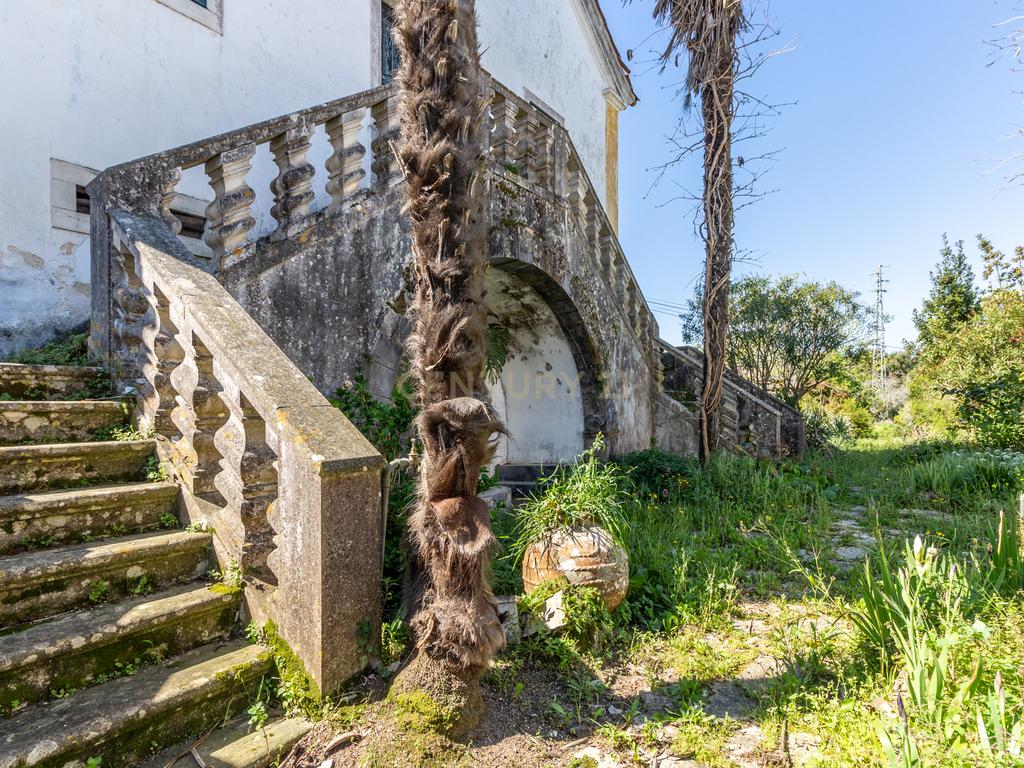 Quinta com Palacete - Image 43