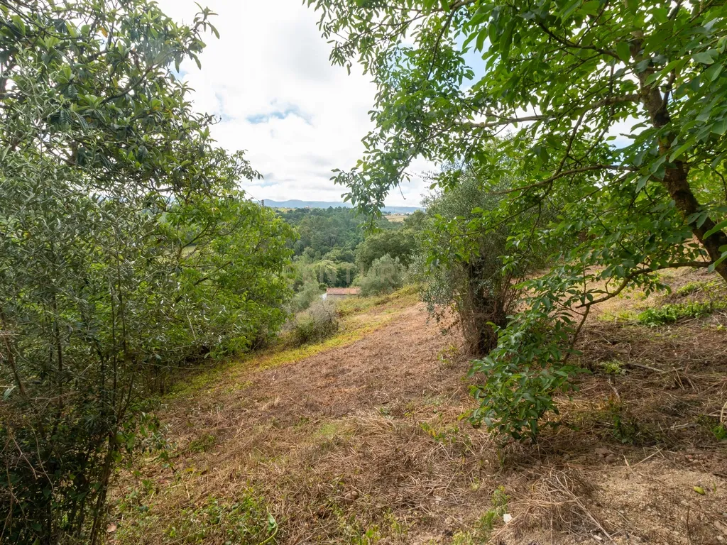Moradia T2 com garagem e Terreno - Image 15