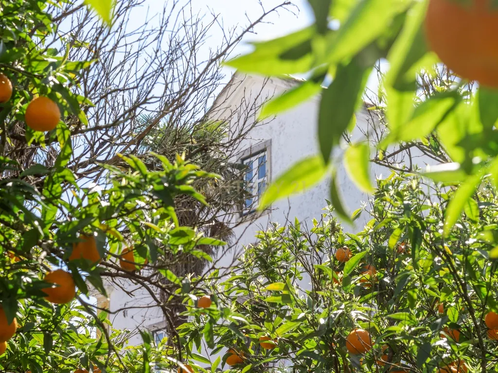Quinta com Palacete - Image 29