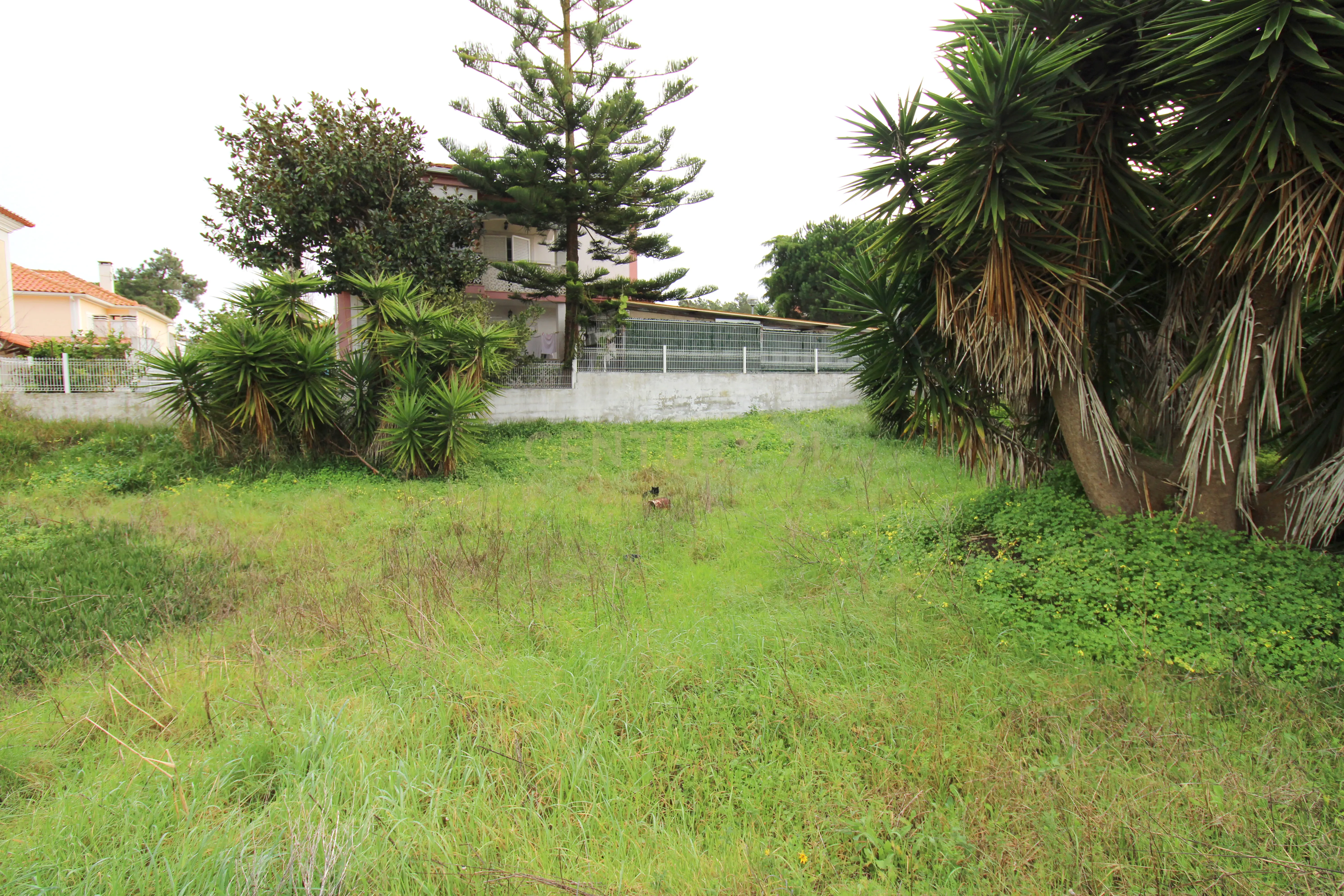 Lote de terreno para construção com 386 m2 na Lagoa de Albufeira - Image 5