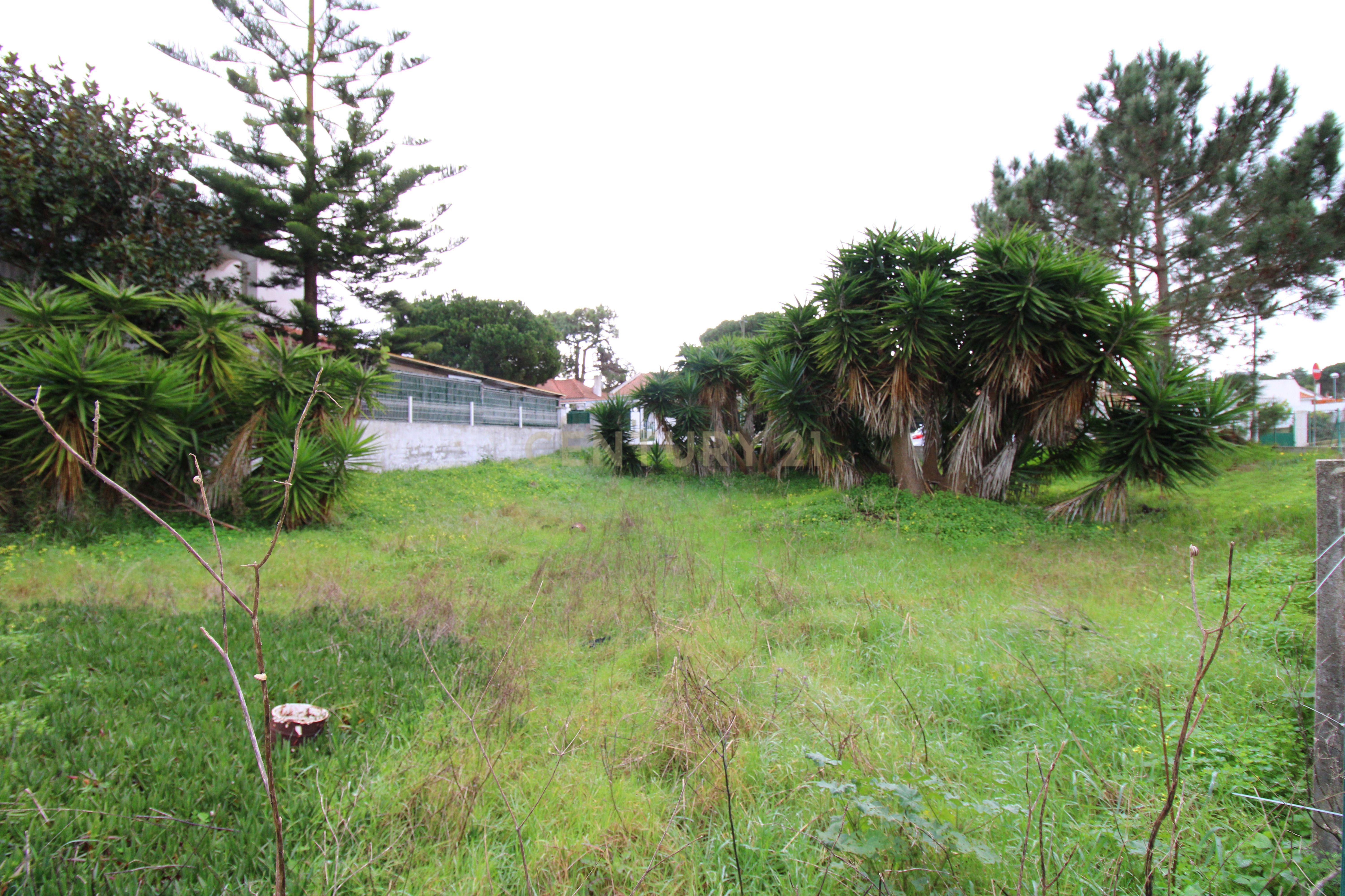 Lote de terreno para construção com 386 m2 na Lagoa de Albufeira - Image 10