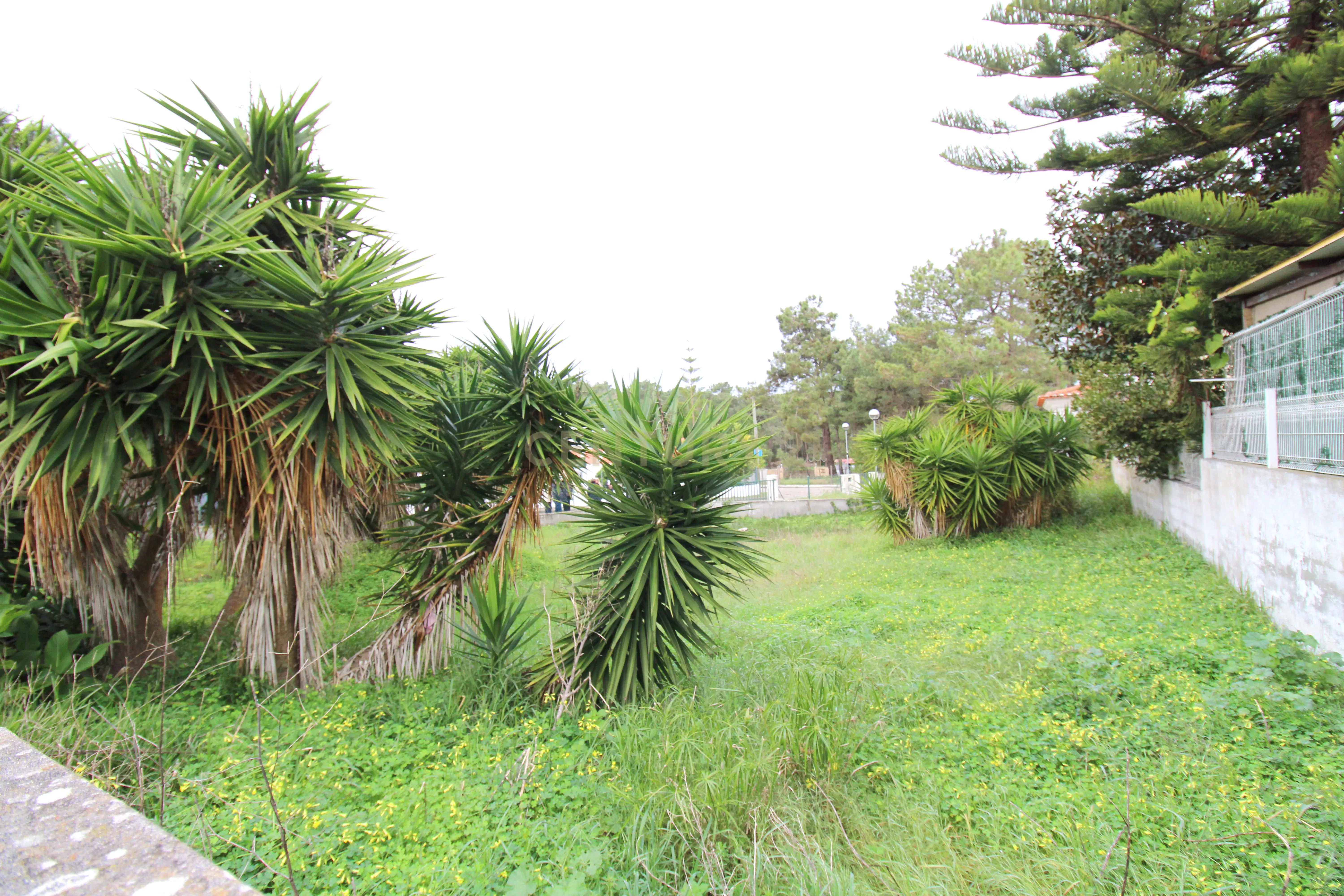 Lote de terreno para construção com 386 m2 na Lagoa de Albufeira - Image 12