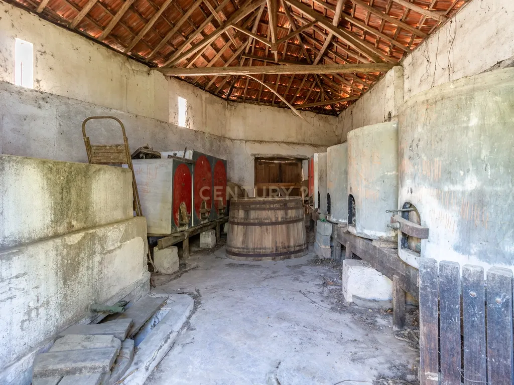 Quinta com Palacete - Image 37