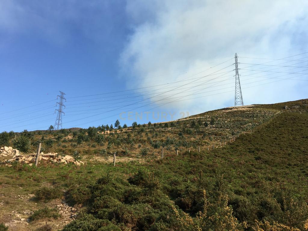 Terreno na zona do geres com 11.800 m2 - Image 3