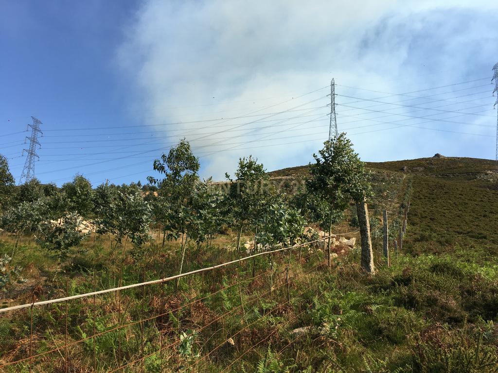Terreno na zona do geres com 11.800 m2 - Image 2