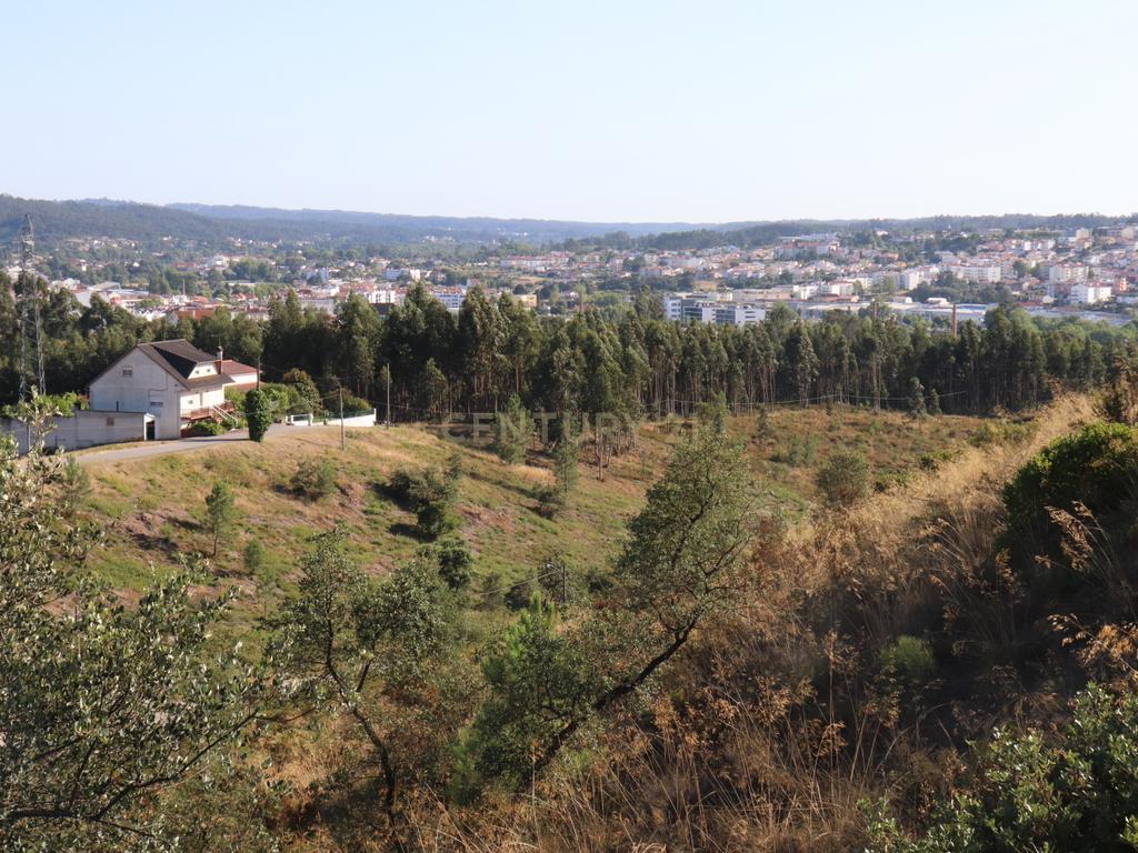 Terreno às portas da Cidade de Pombal - Image 3