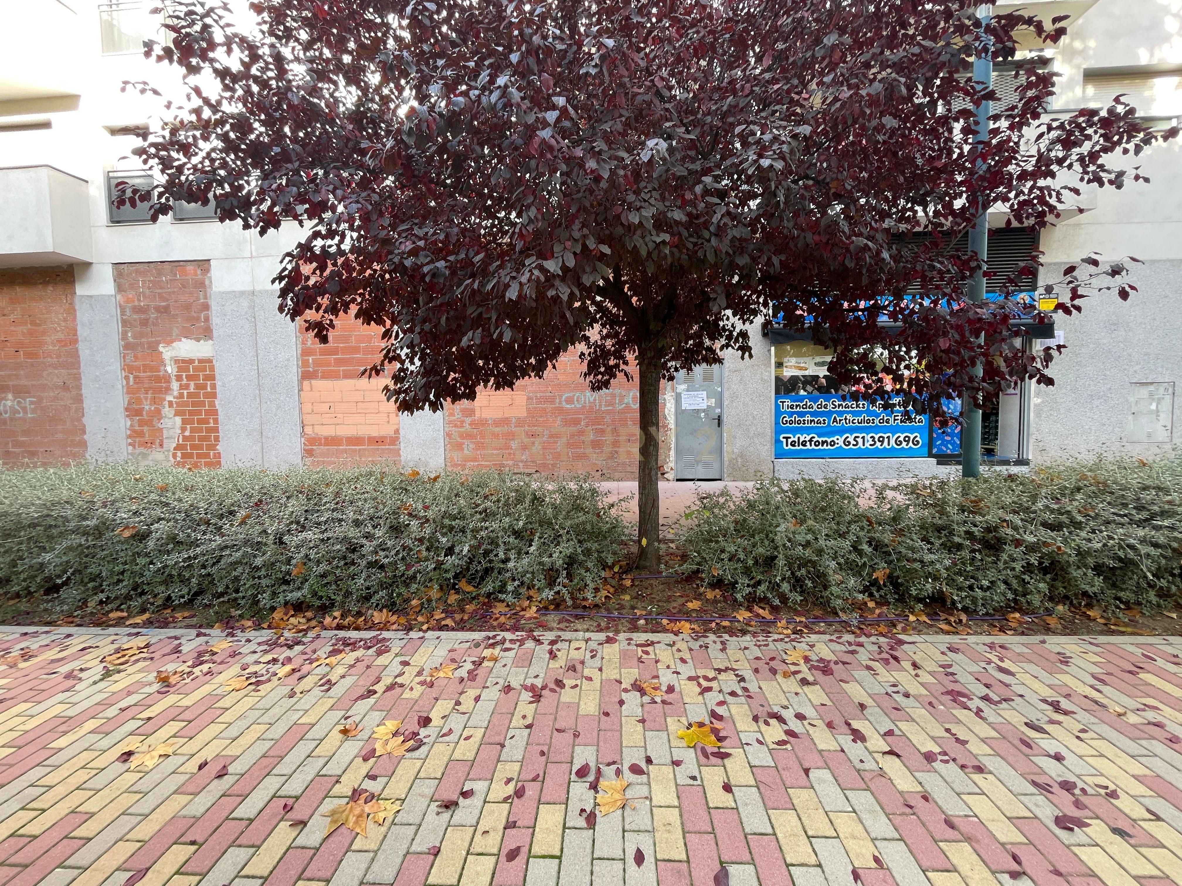 undefined - Image 23