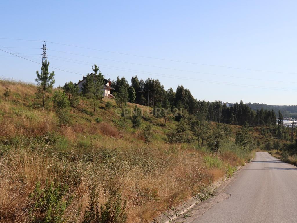 Terreno às portas da Cidade de Pombal - Image 8
