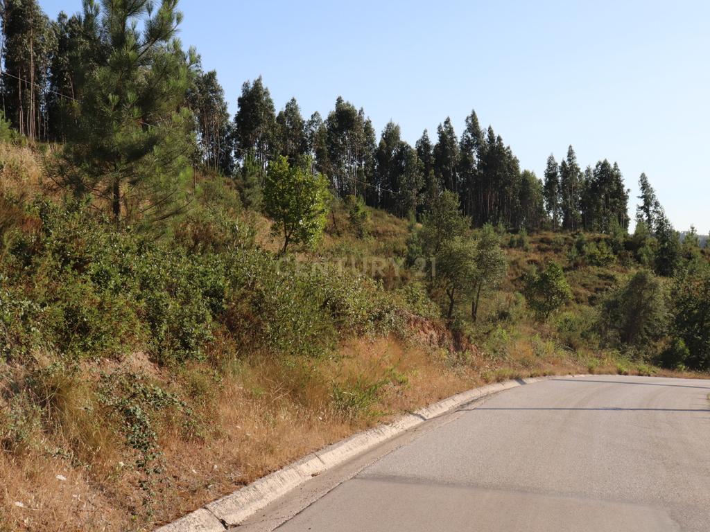 Terreno às portas da Cidade de Pombal - Image 7