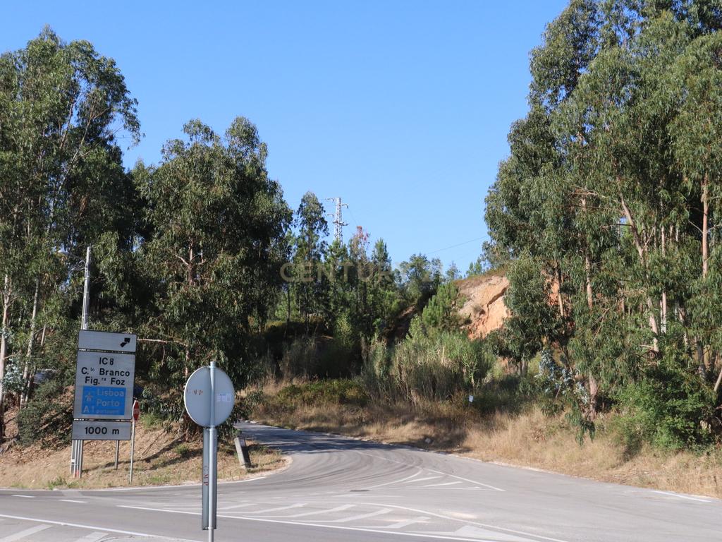 Terreno às portas da Cidade de Pombal - Image 12
