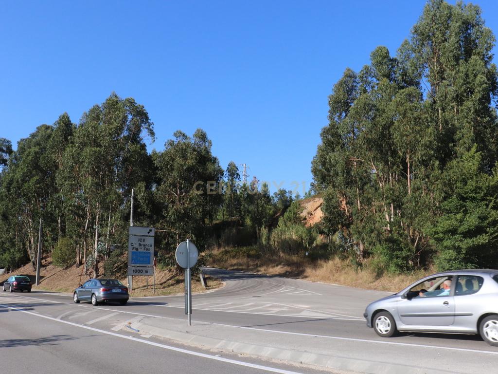 Terreno às portas da Cidade de Pombal - Image 4