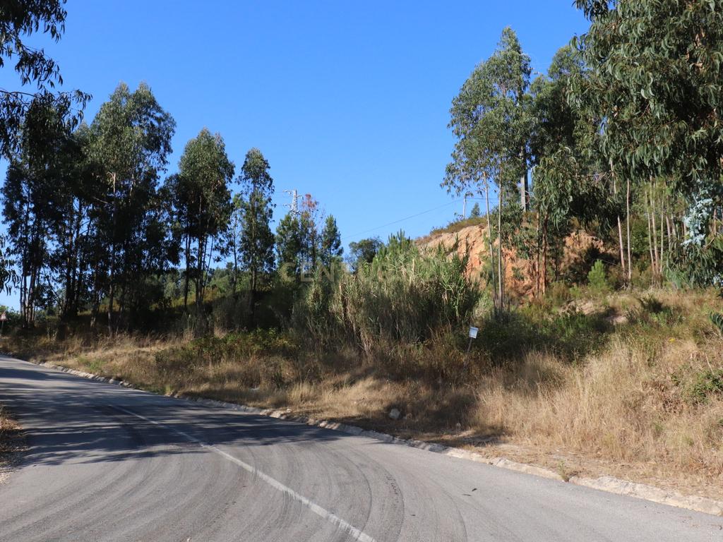 Terreno às portas da Cidade de Pombal - Image 1