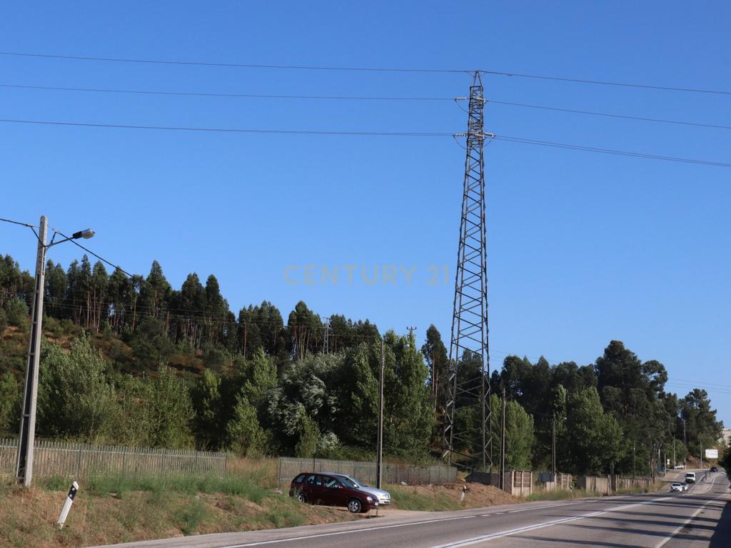 Terreno às portas da Cidade de Pombal - Image 11