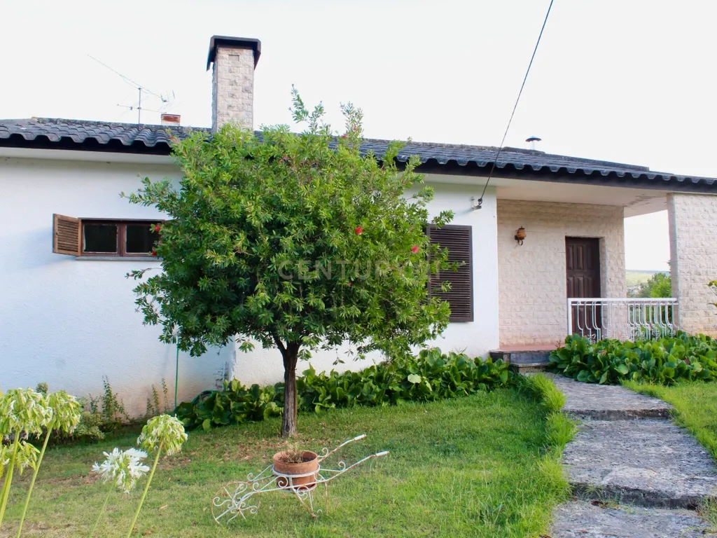 MORADIA T4 -ANSIÃO- com ARMAZÉM, anexos e 1ha terreno - Image 5