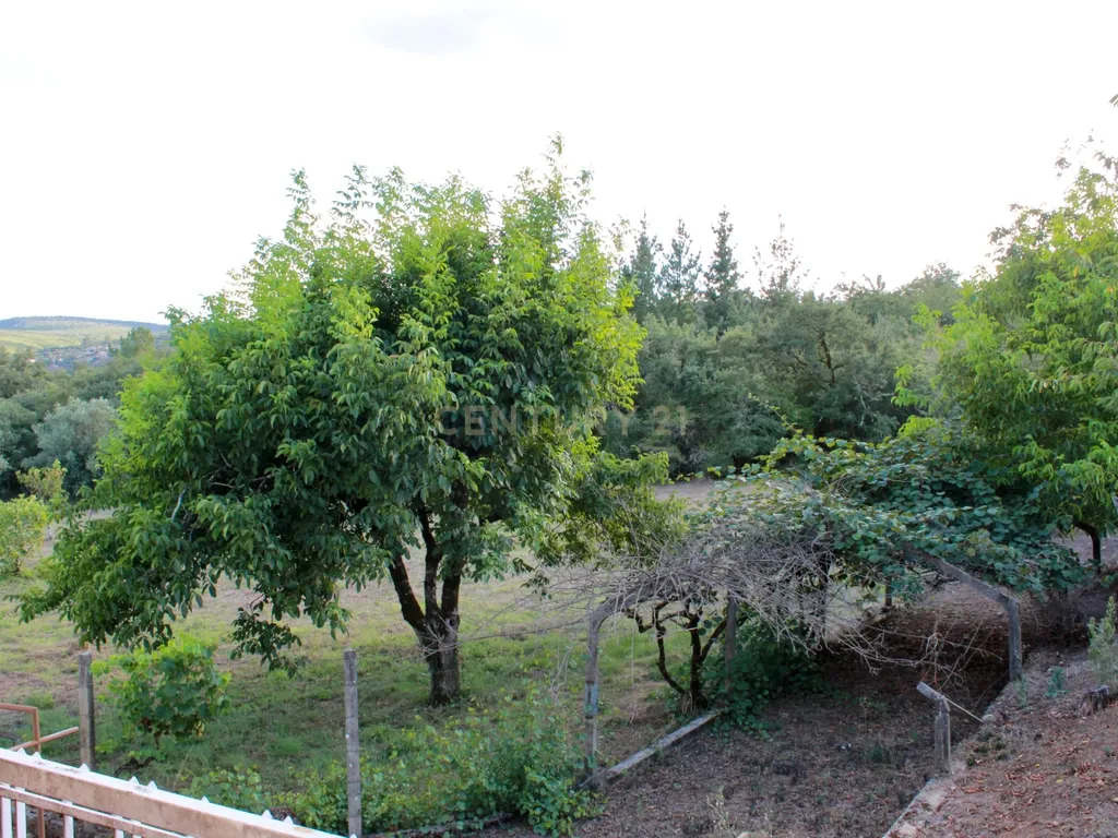 MORADIA T4 -ANSIÃO- com ARMAZÉM, anexos e 1ha terreno - Image 52