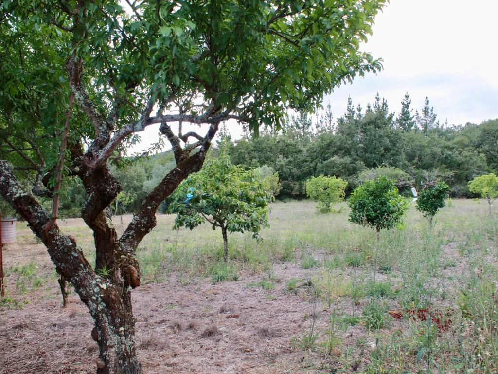MORADIA T4 -ANSIÃO- com ARMAZÉM, anexos e 1ha terreno - Image 46