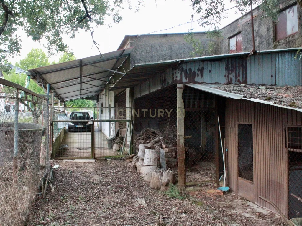 MORADIA T4 -ANSIÃO- com ARMAZÉM, anexos e 1ha terreno - Image 38