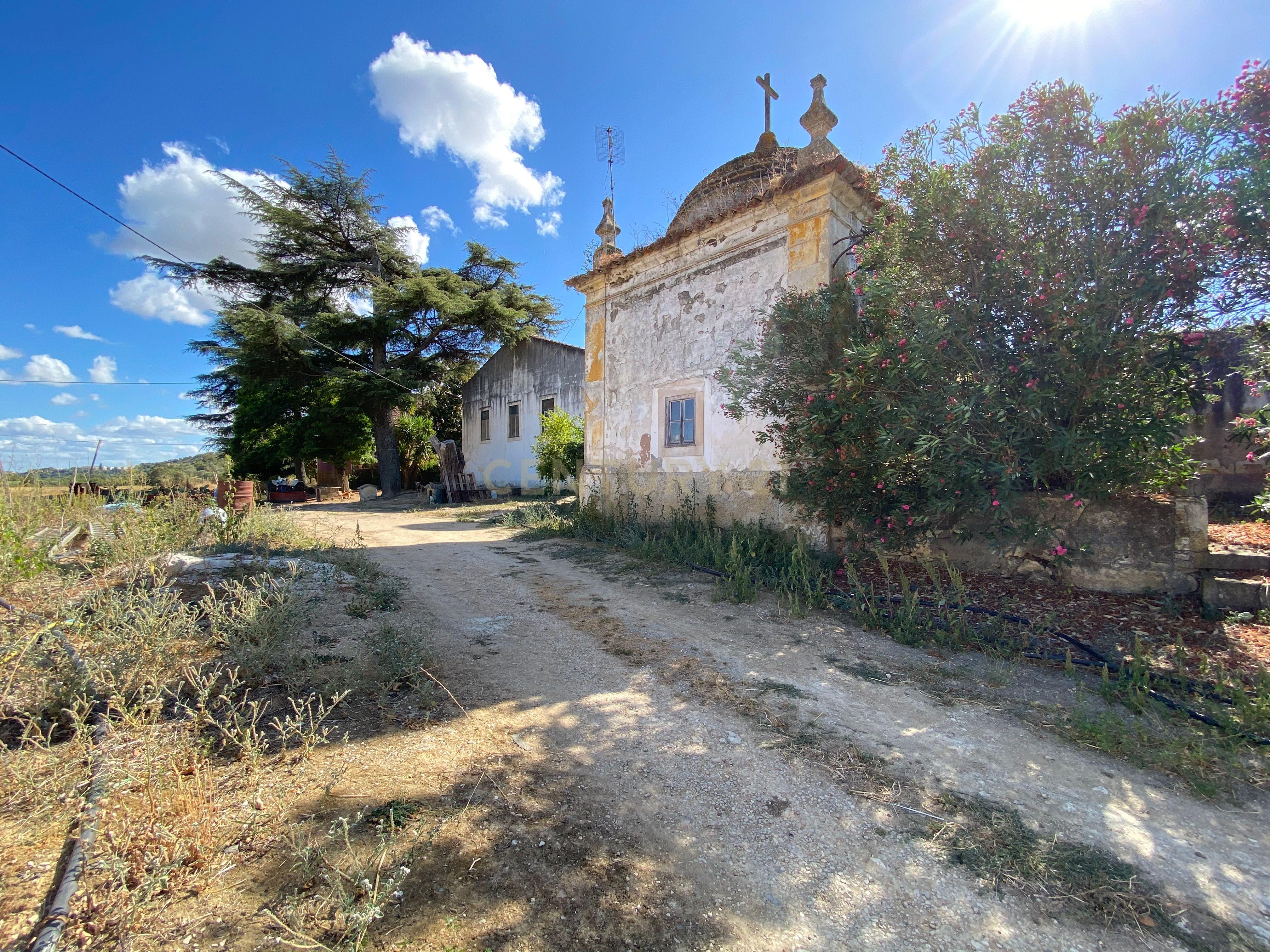 Quinta para venda - Image 14