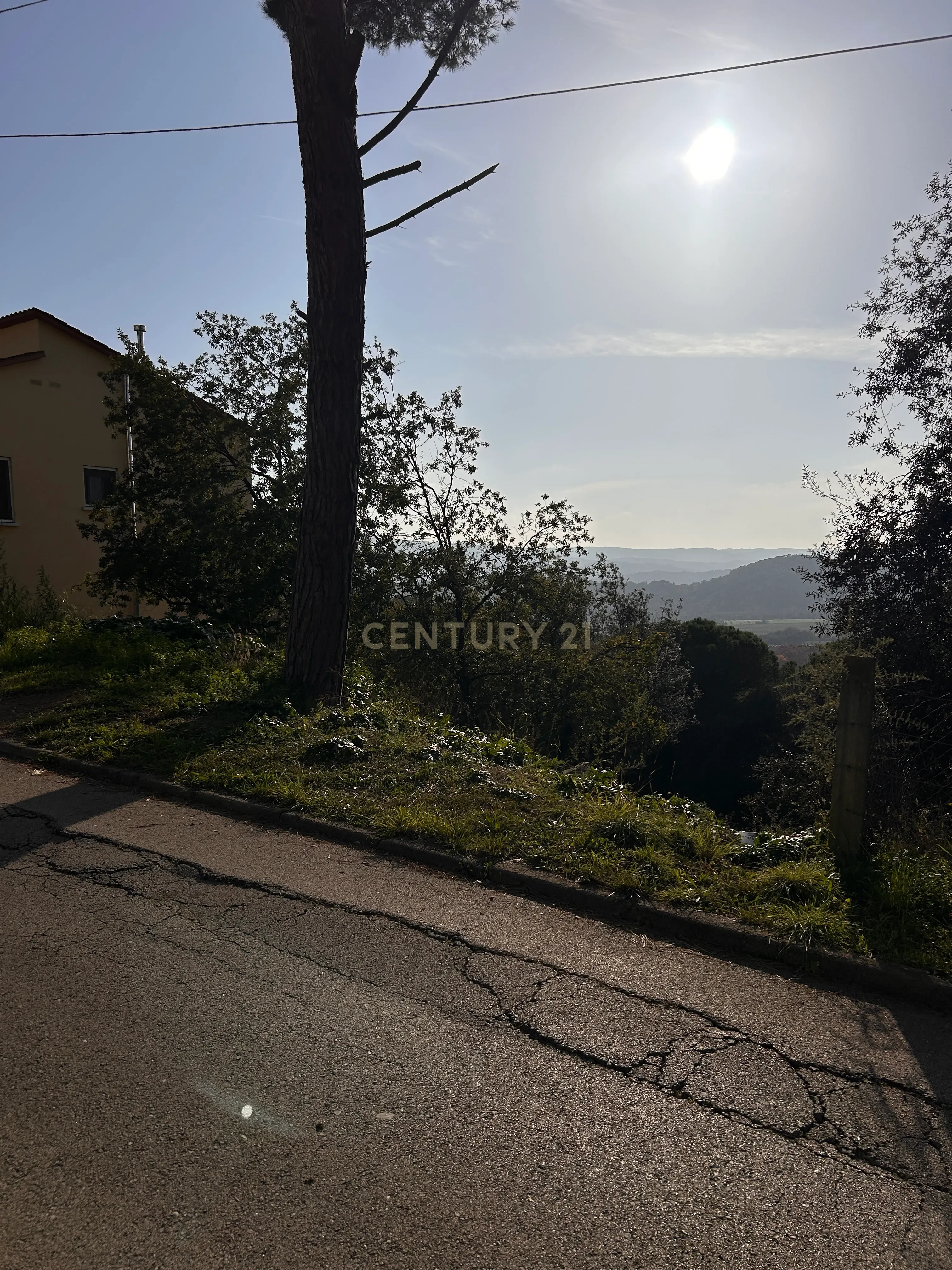 Terreno - Image 12