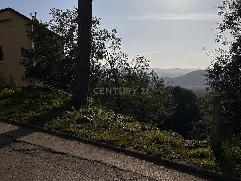 Terreno - Image 12