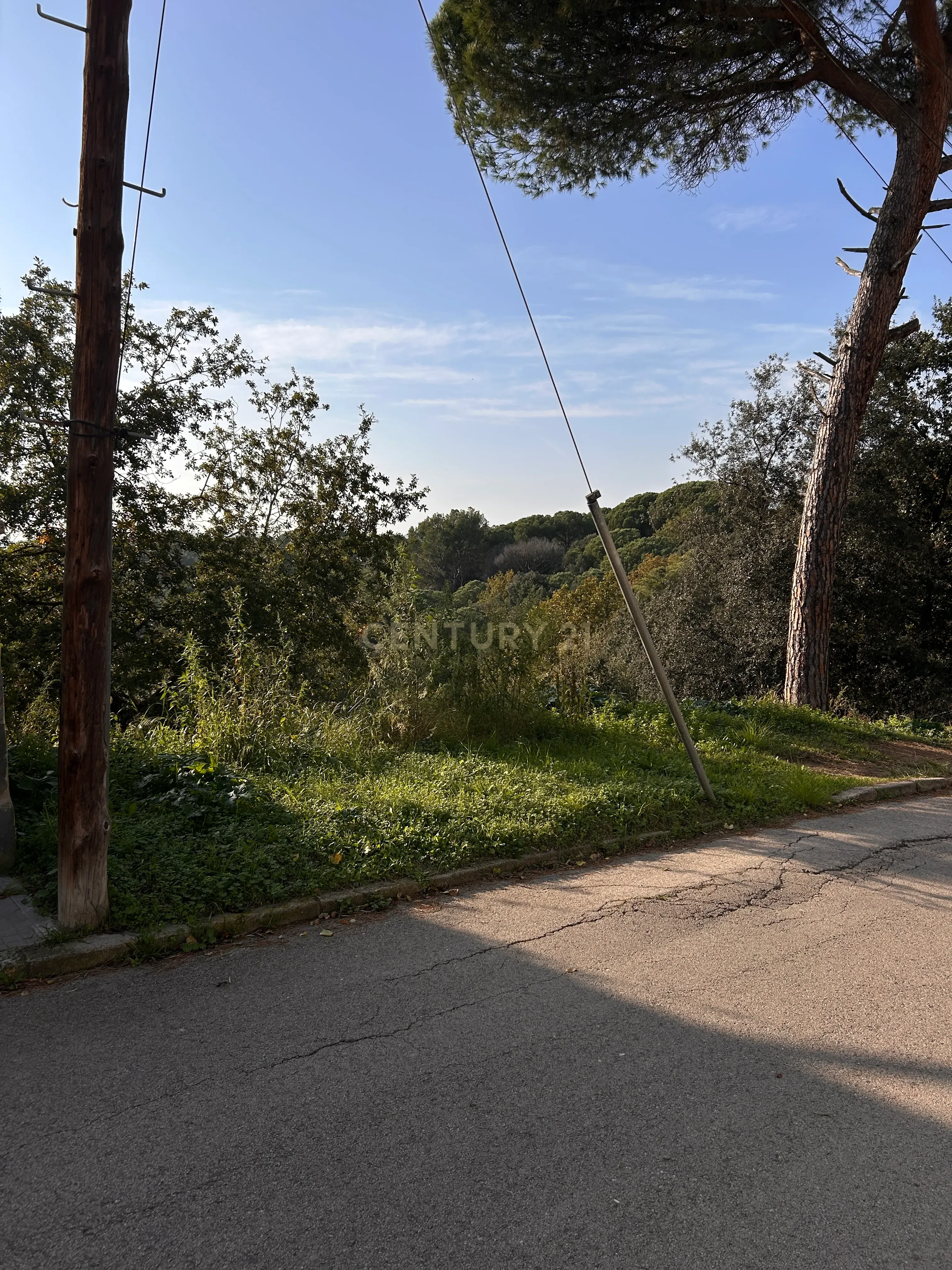 Terreno - Image 38