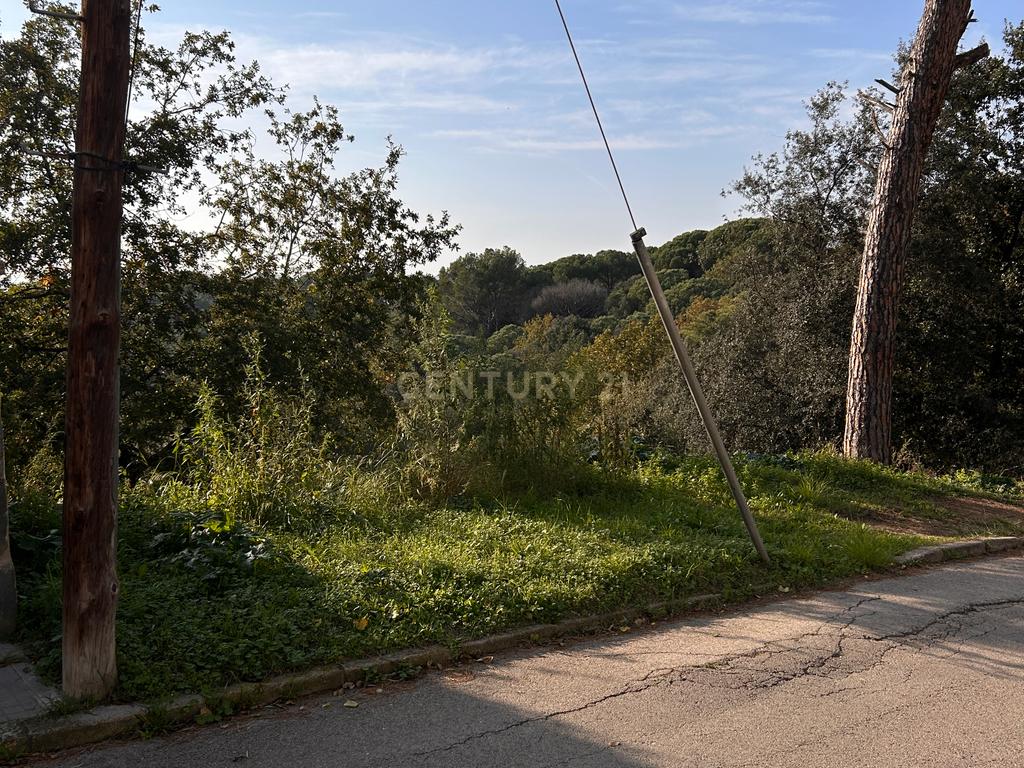 Terreno - Image 38