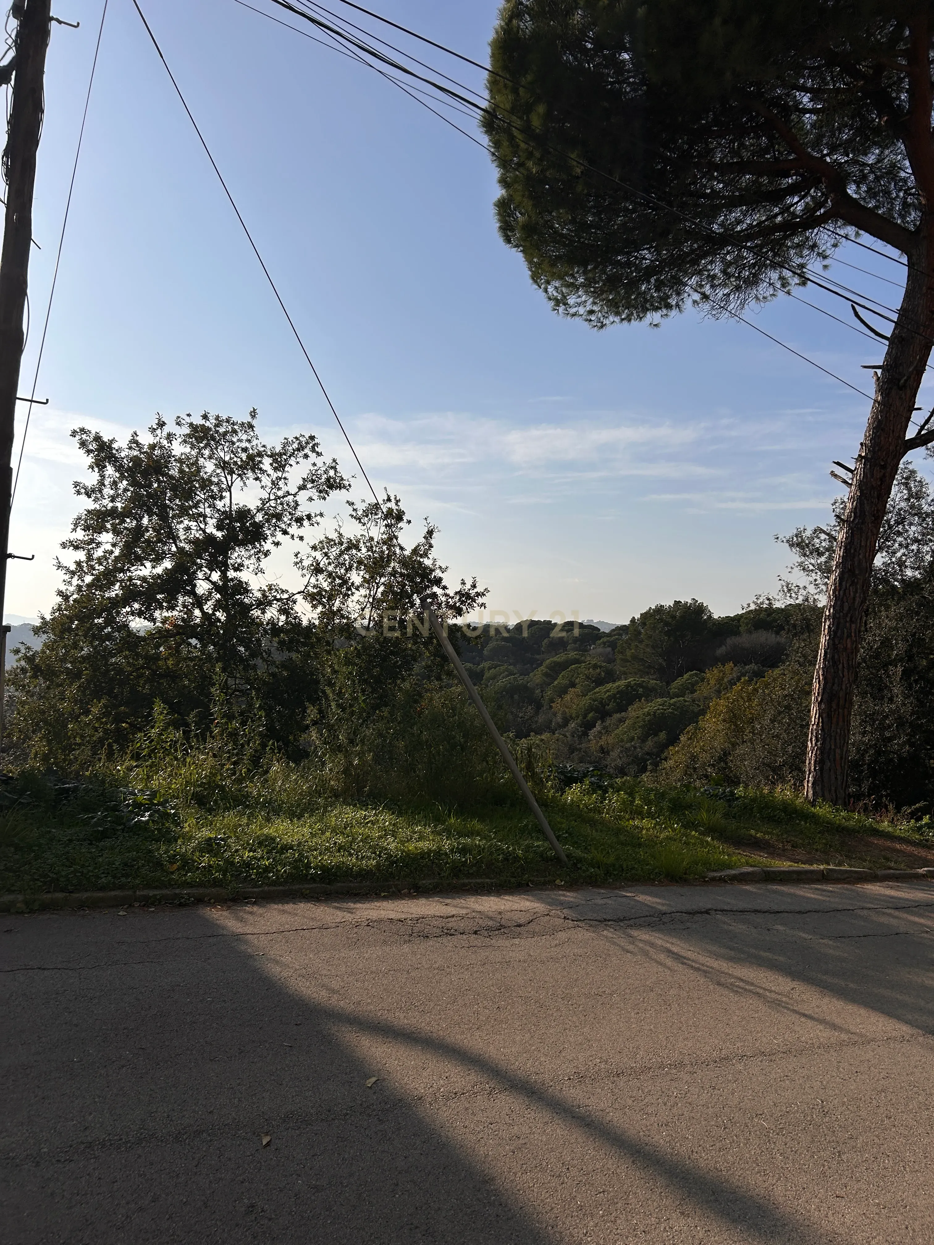 Terreno - Image 28