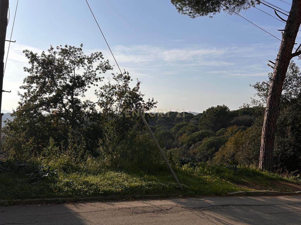 Terreno - Image 28