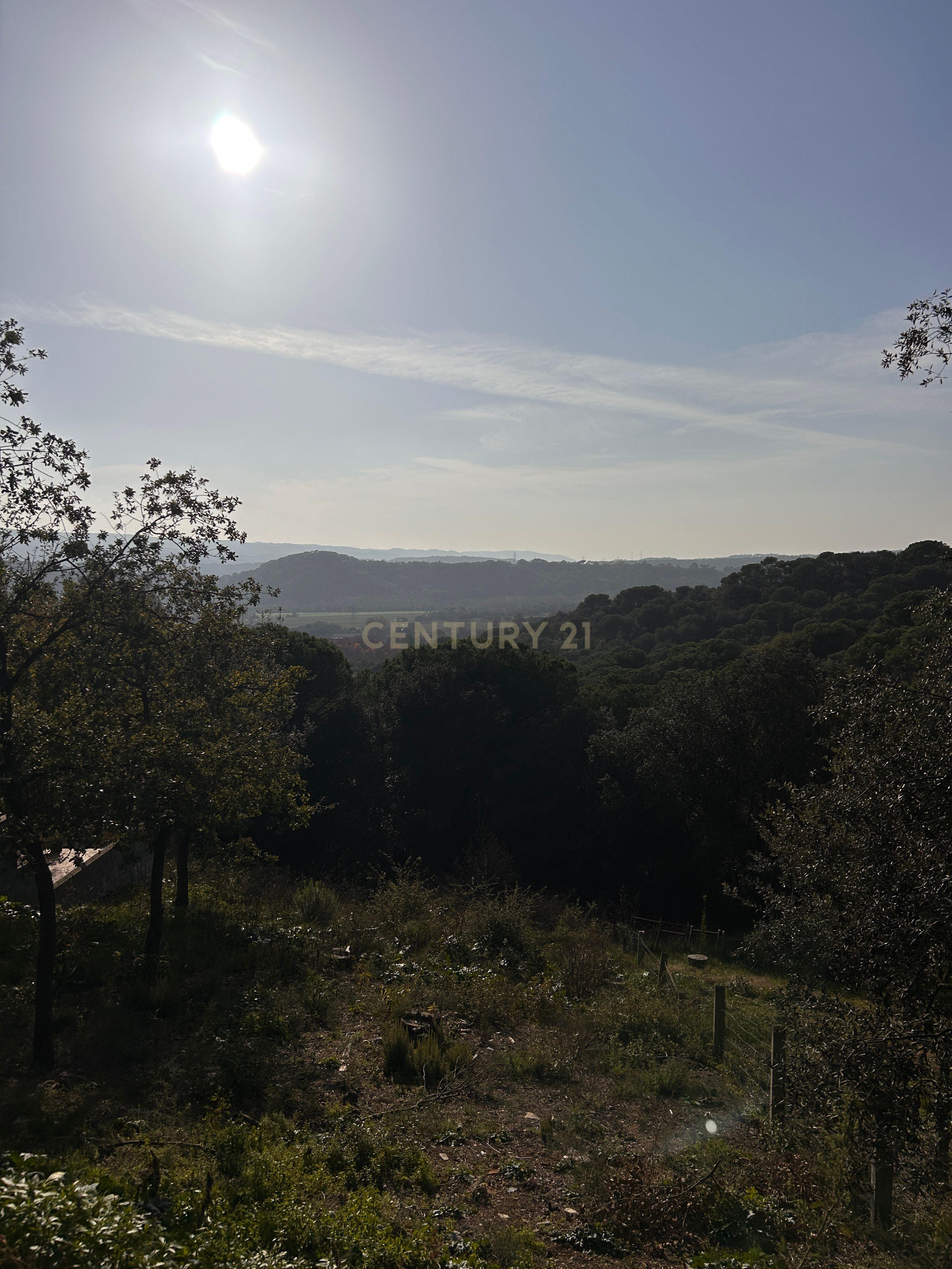 Terreno - Image 36