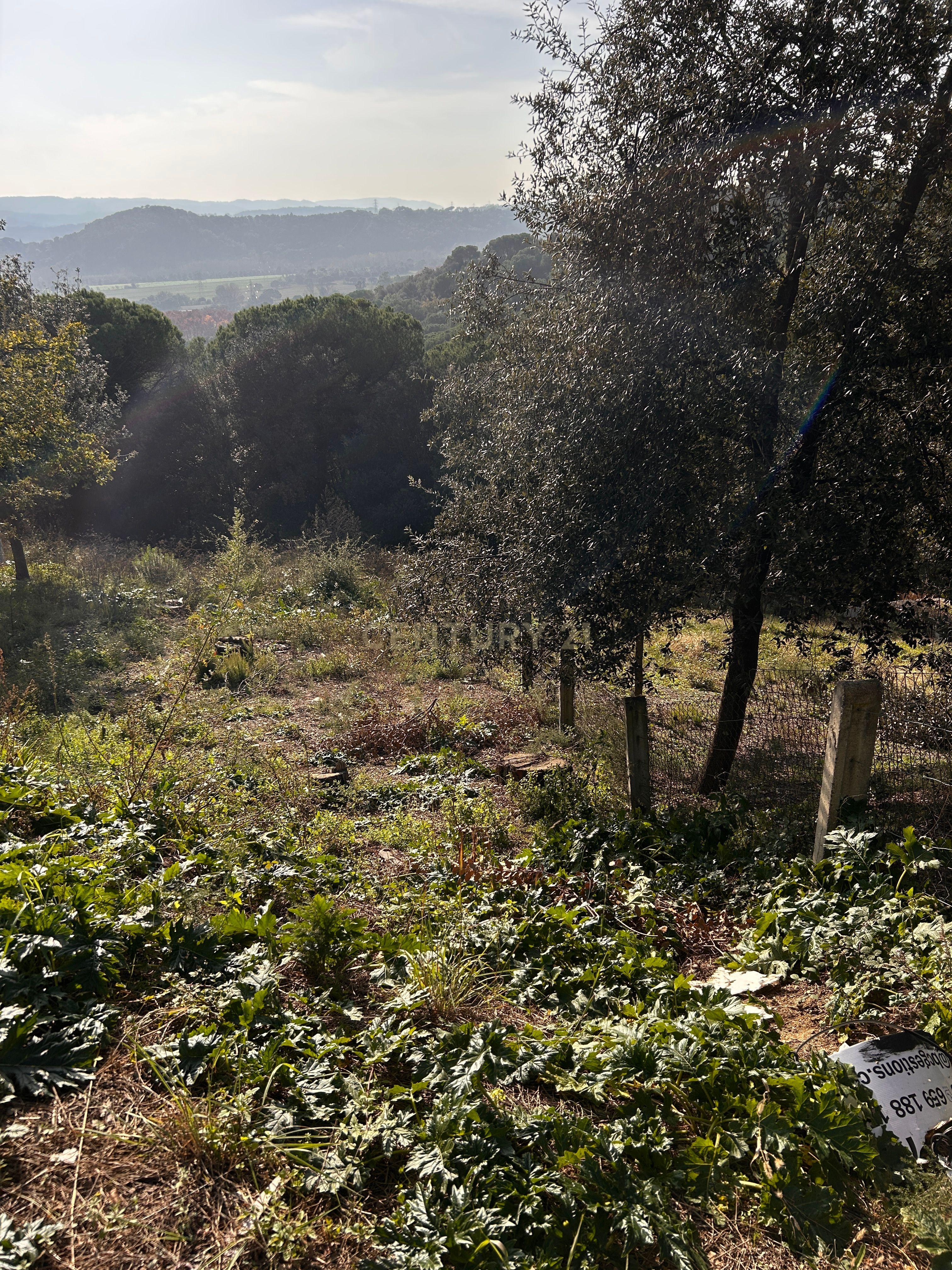 Terreno - Image 31