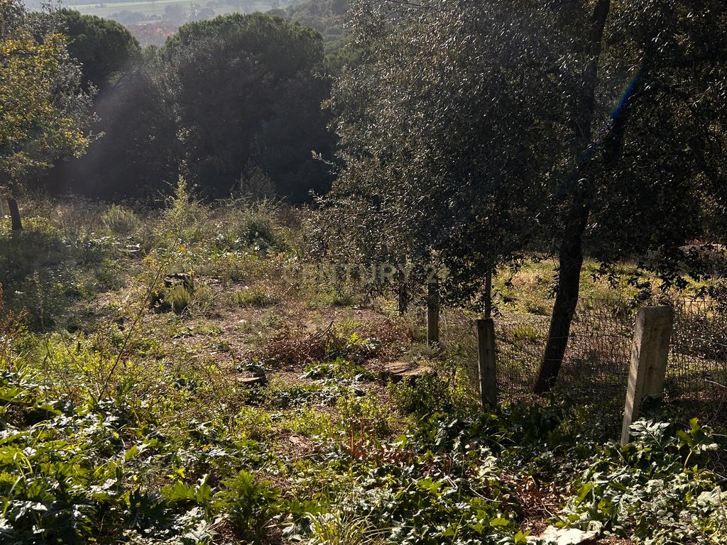 Terreno - Image 31