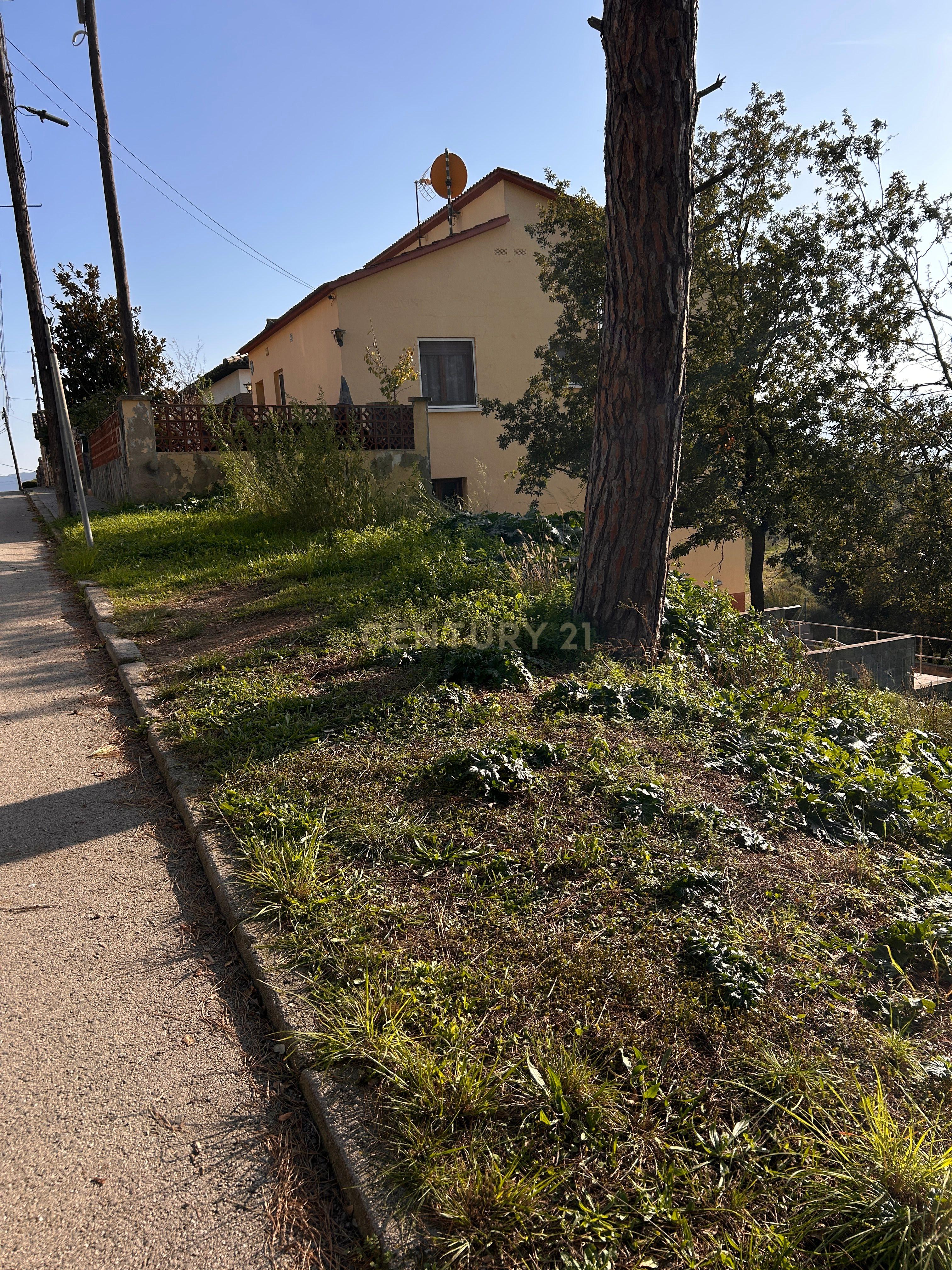 Terreno - Image 15