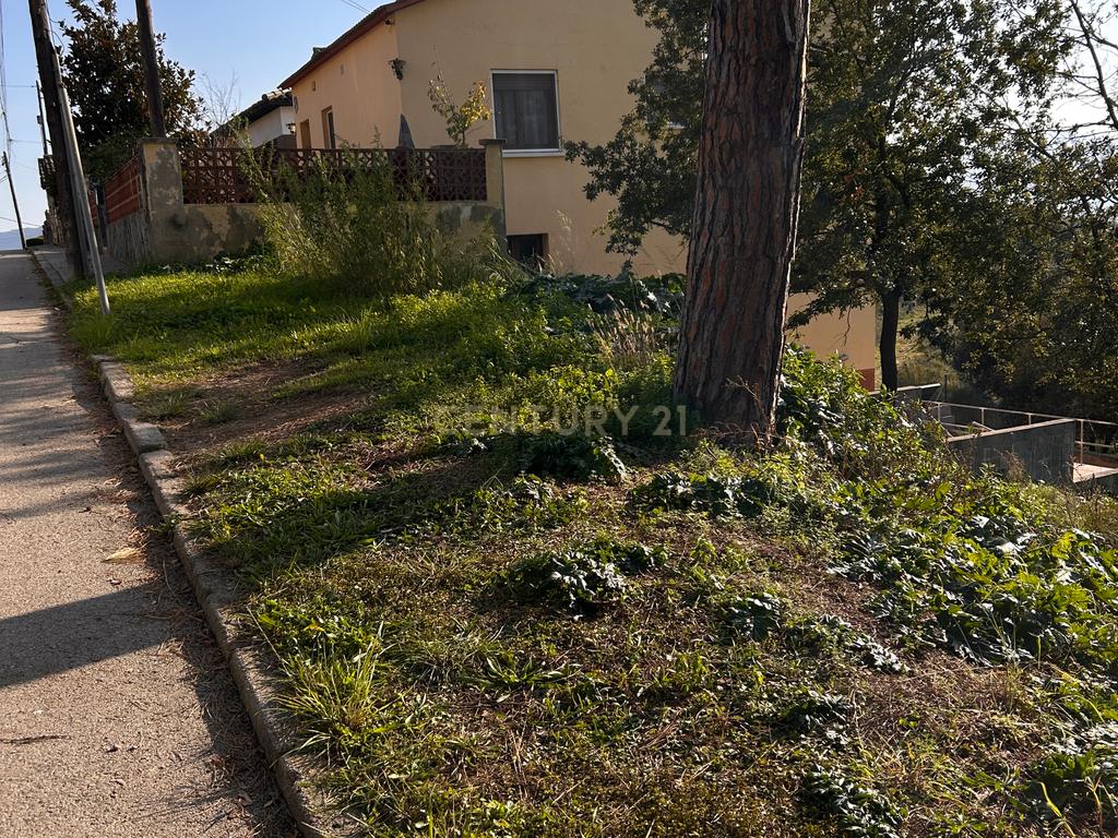 Terreno - Image 15