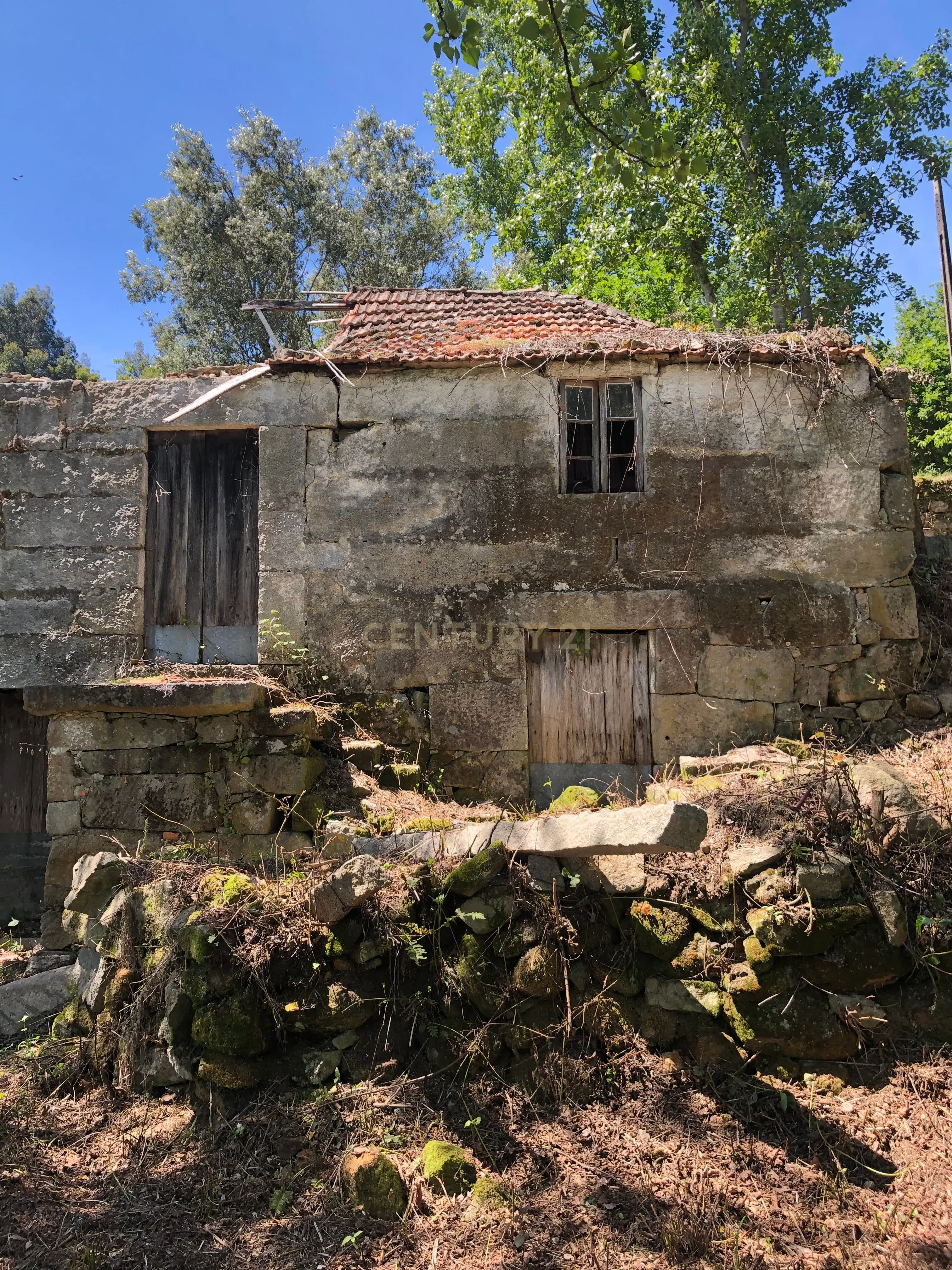 Quinta com 2 casas para restauro em Sande Marco de Canaveses - Image 3
