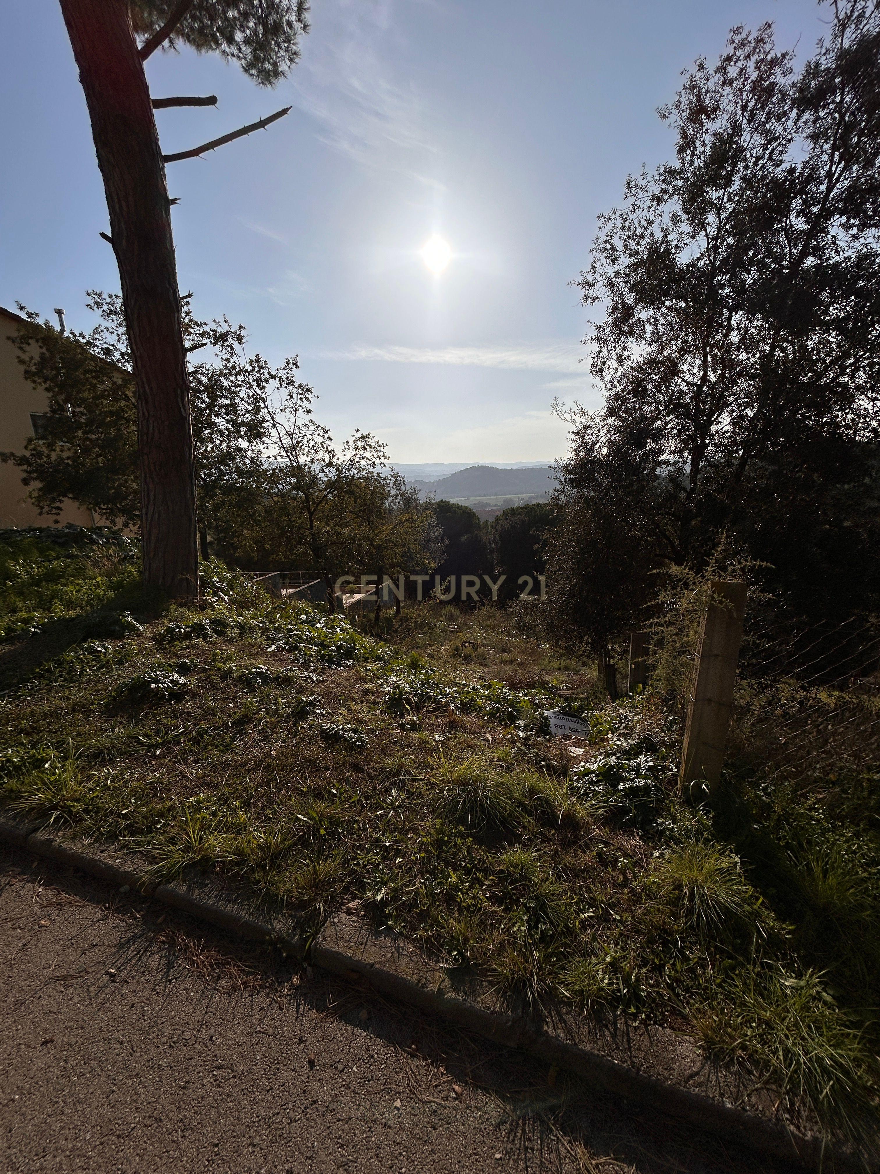 Terreno - Image 16