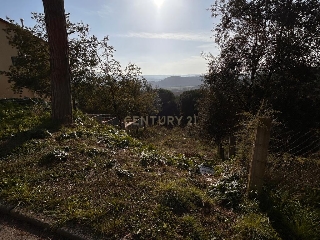 Terreno - Image 16