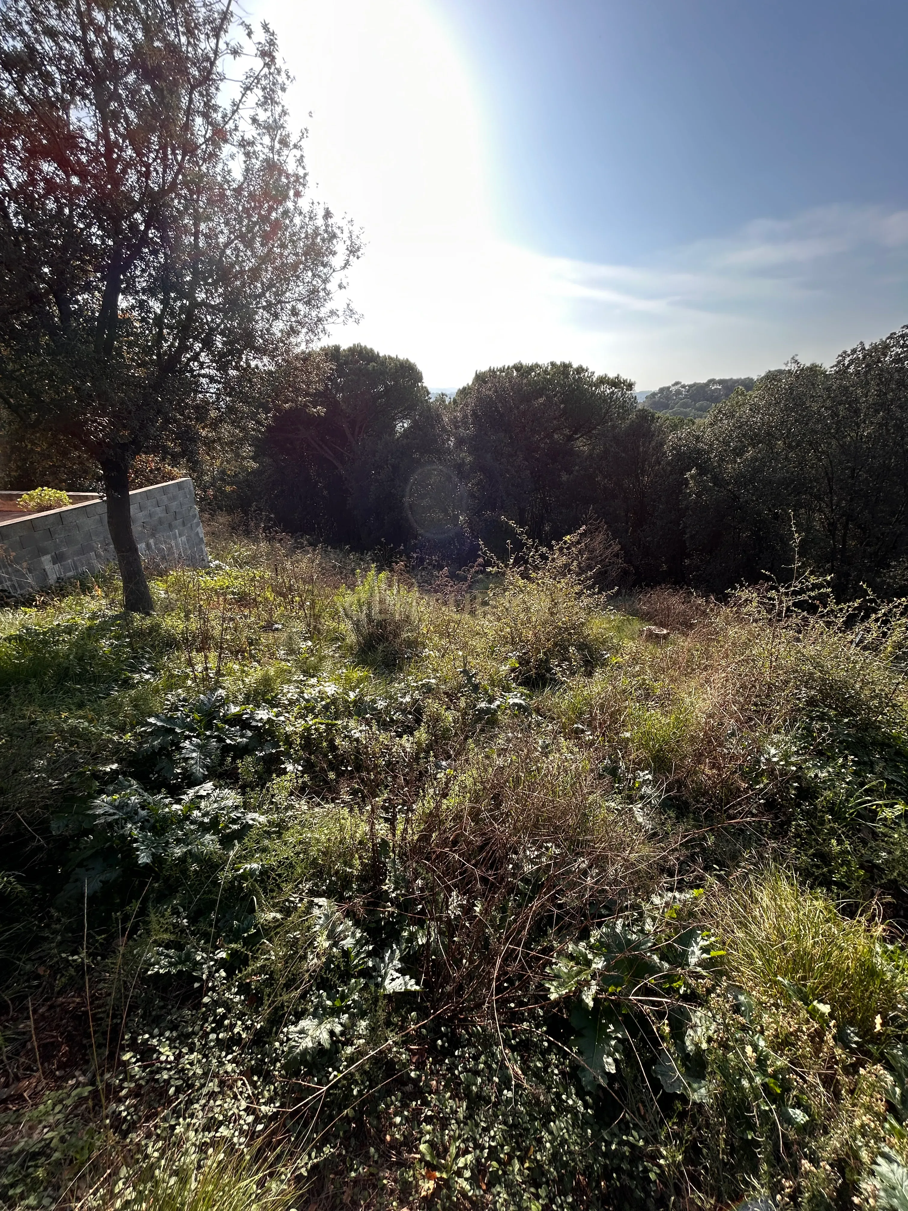 Terreno - Image 17