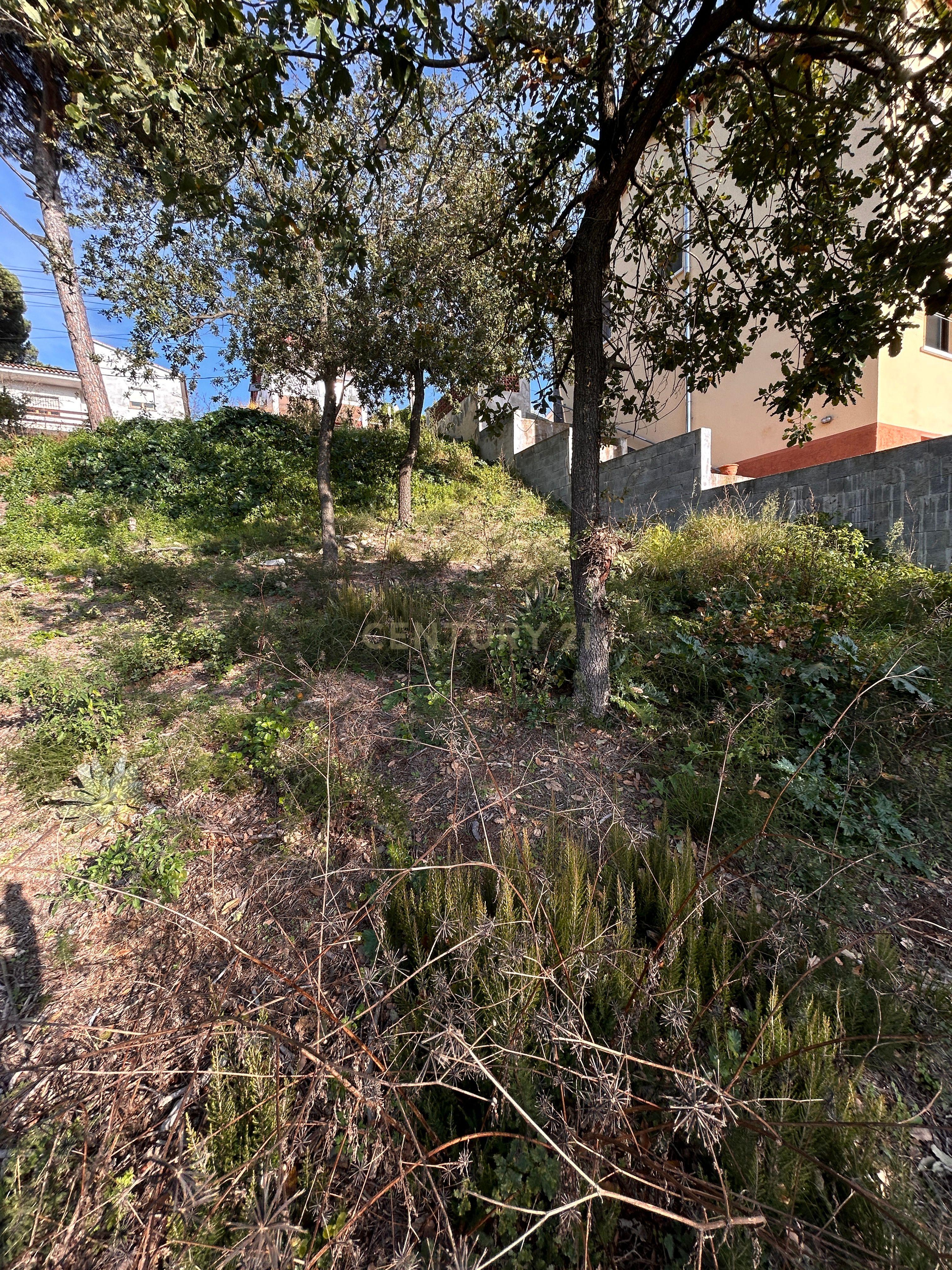 Terreno - Image 18