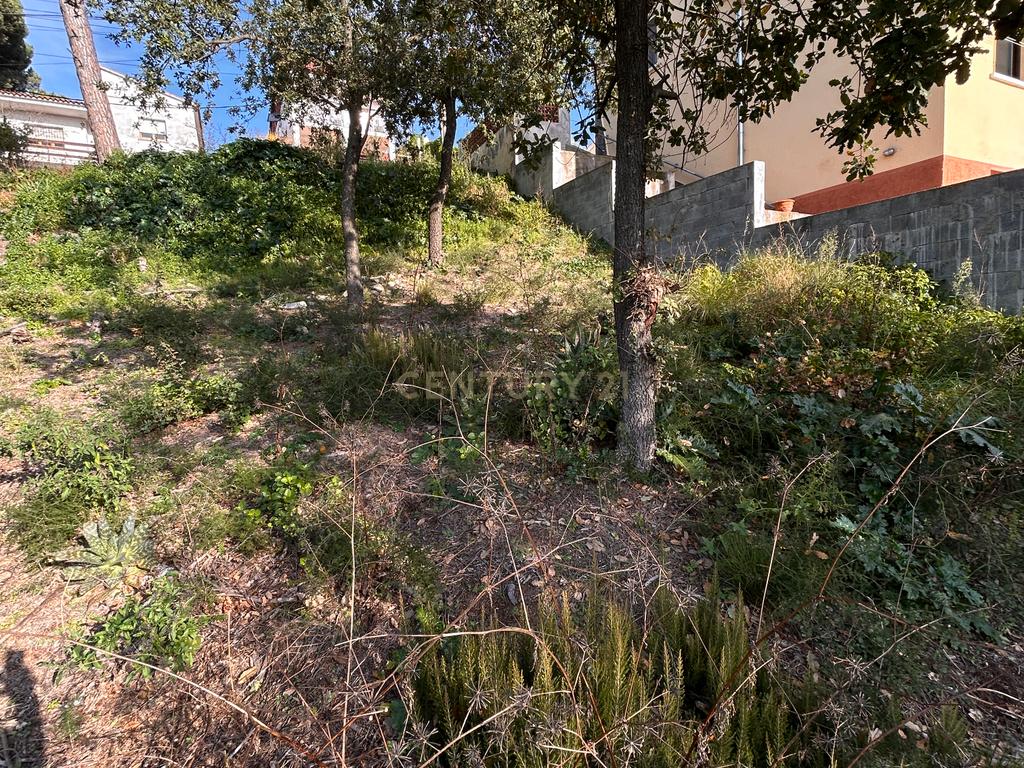 Terreno - Image 18